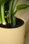 vibes fold rund 18cm buttergelb